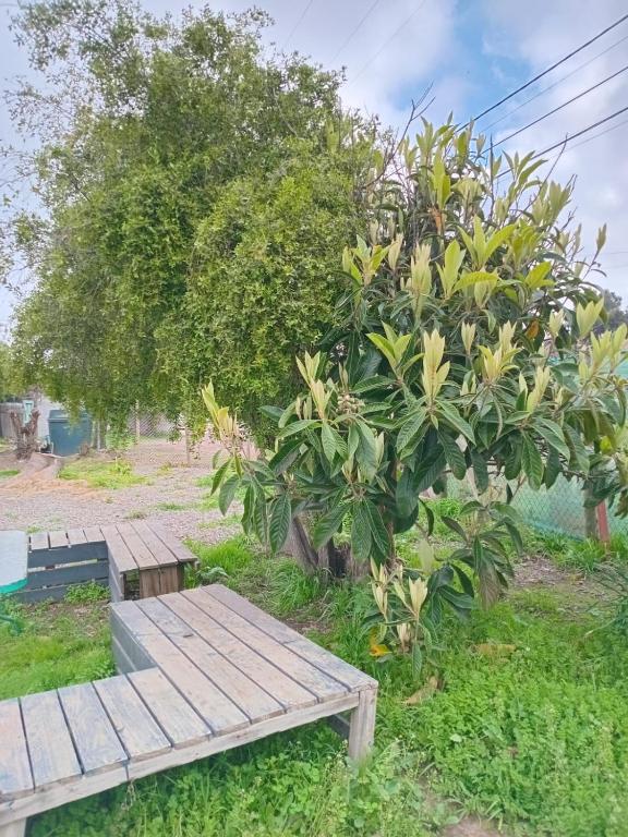 Acogedora Casa en Los Molles - 3