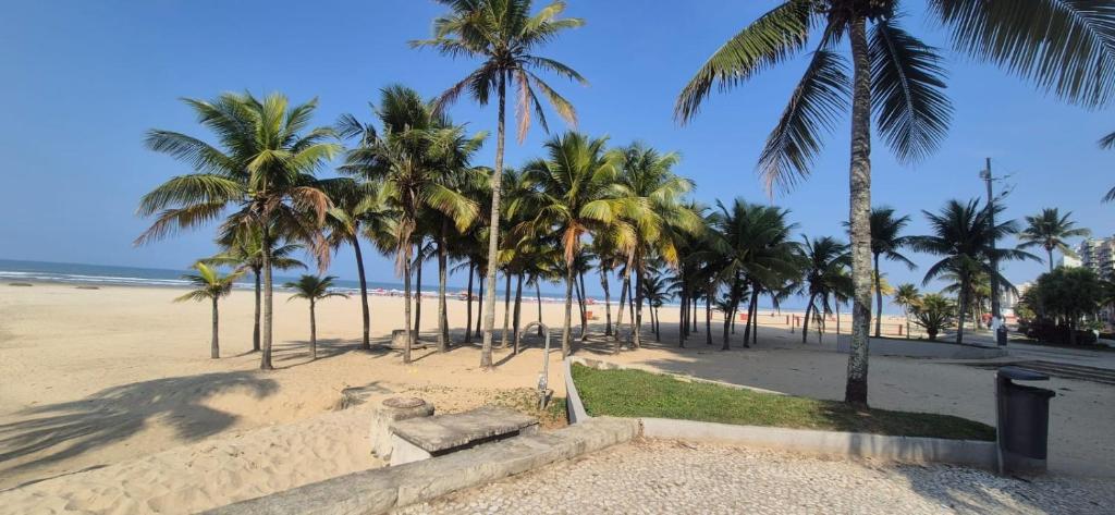 Apt at 3min of Praia da Aviação, Praia Grande
