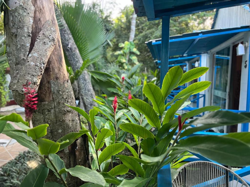 Zensus Eco Boutique Hotel - 3