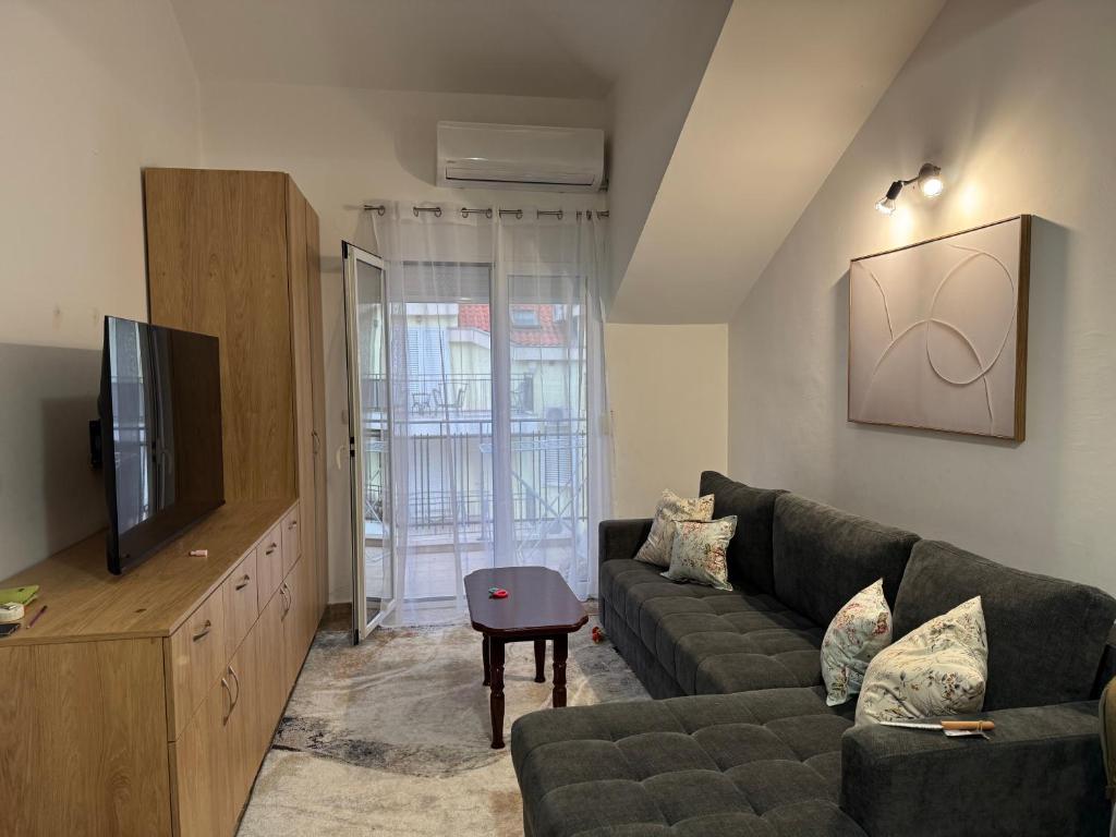 Apartment DJ, Đenovići