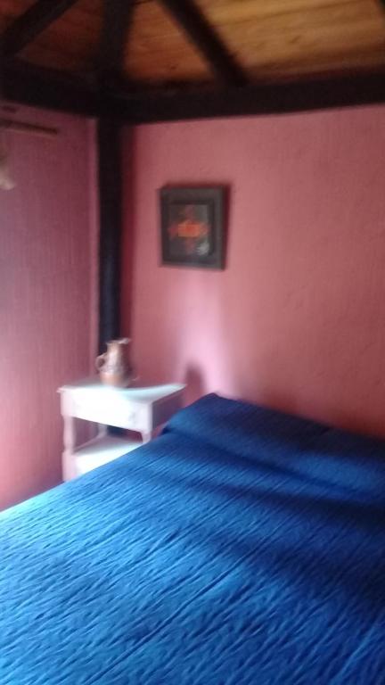 Complejo LOS PINOS - 2