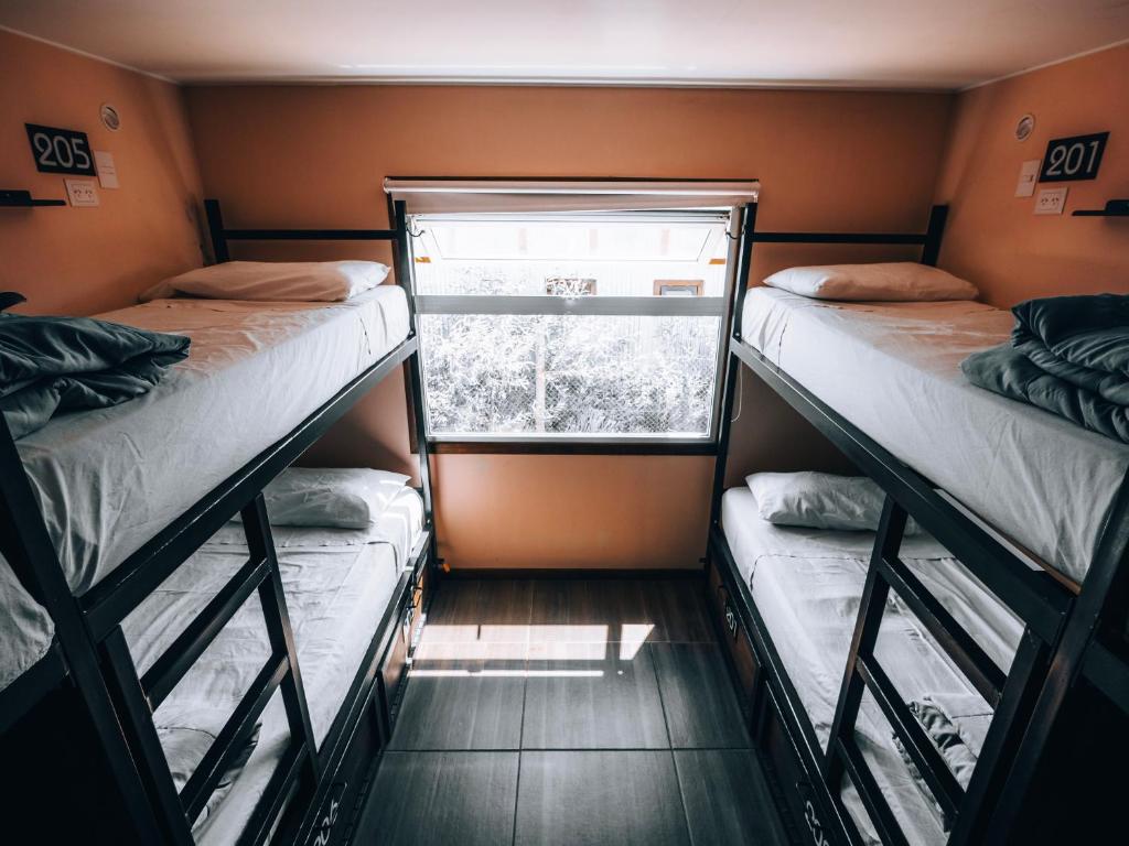 포크 호스텔 (Folk Hostel)