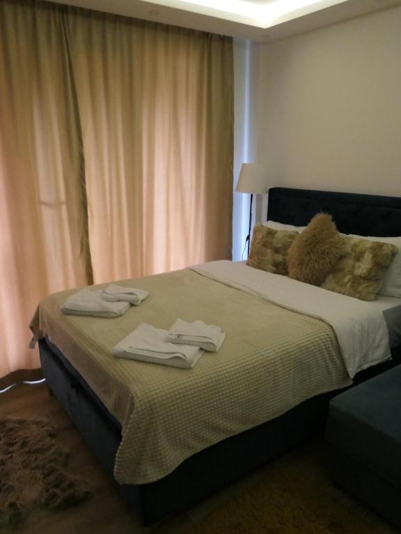 Andromeda Apartment Residence Hill Kopaonik - 4