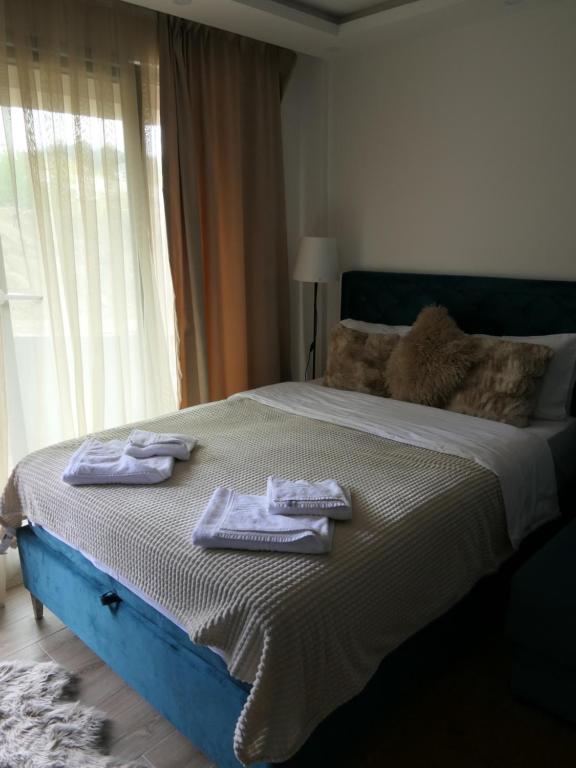 Andromeda Apartment Residence Hill Kopaonik - 2