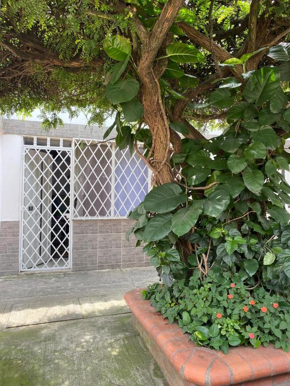 Apartamento Moderno y central - 1