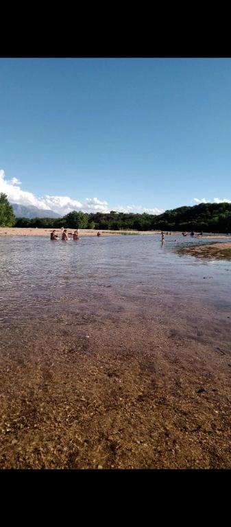 La casa de los Nonos - 3