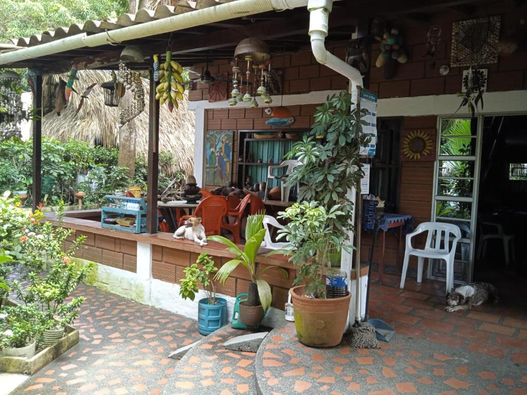 Villa Vilma - 3