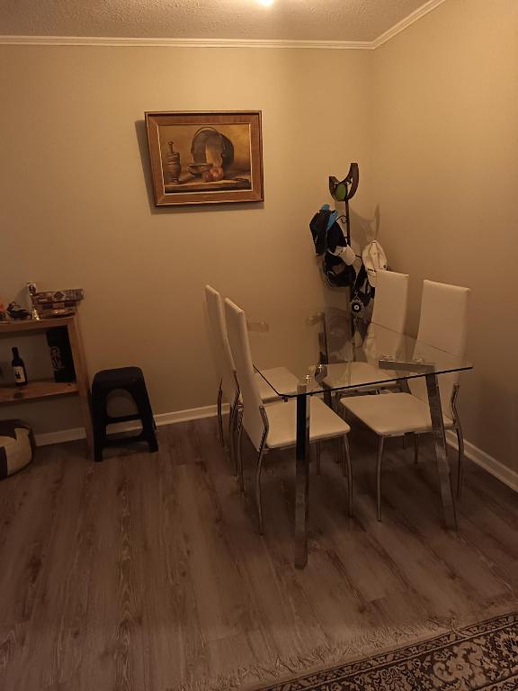 Arriendo departamento amoblado por día - 2