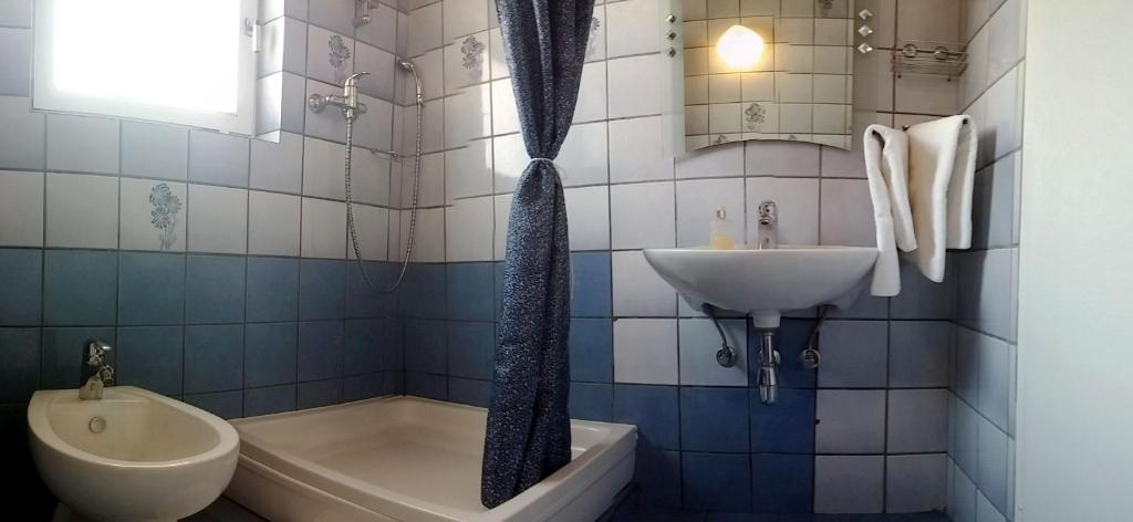 Apartmani Totic photo