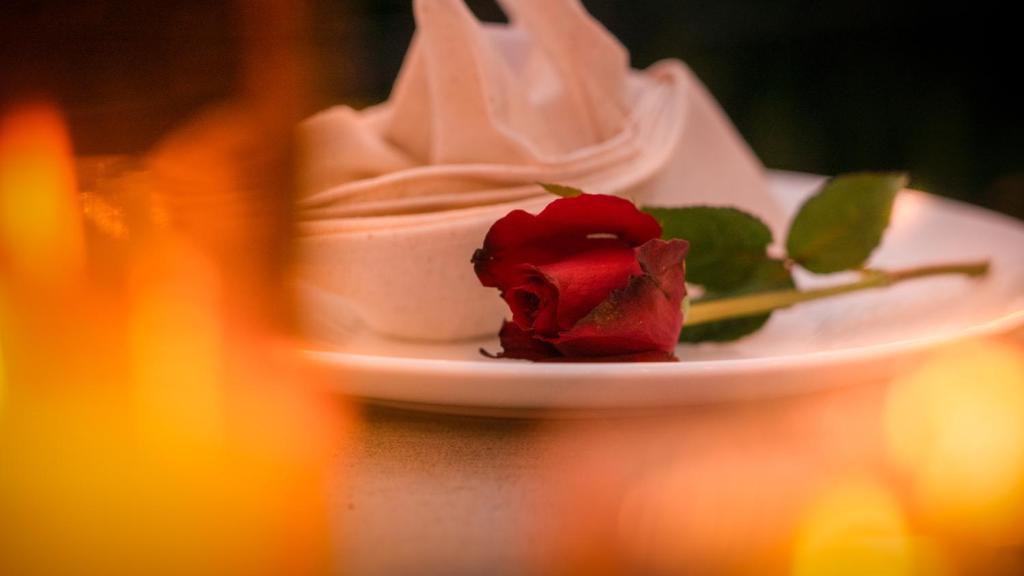 お料理のイメージ