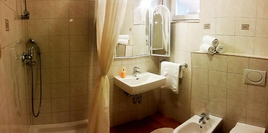 Apartmani Totic photo