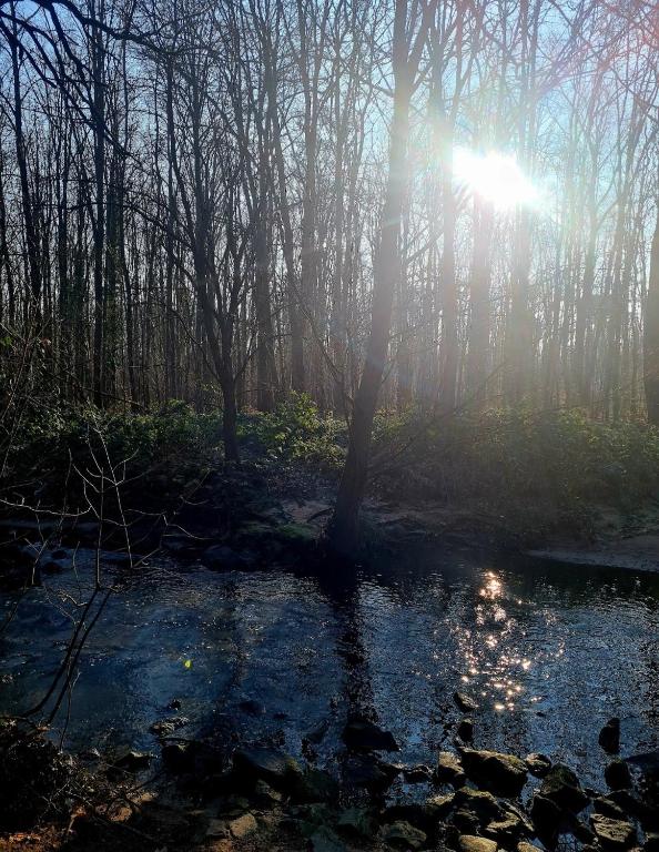 Surrounding environment