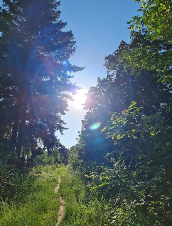 Surrounding environment