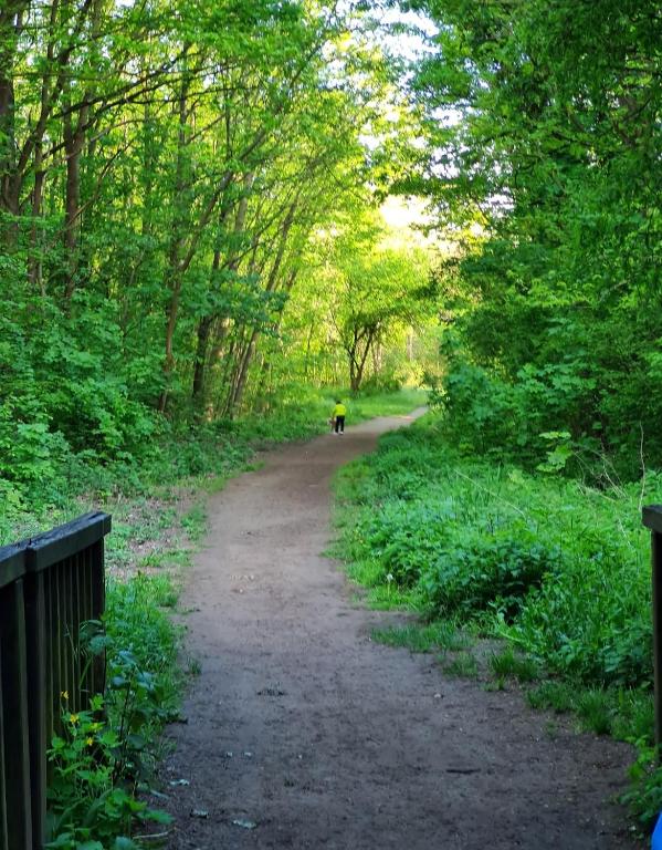 Surrounding environment