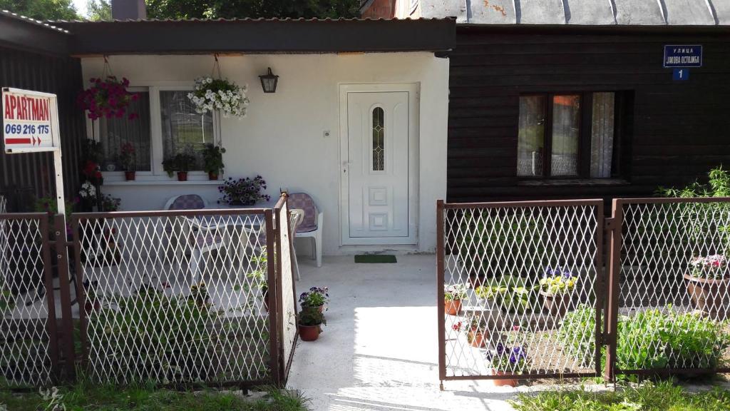 Apartment Aleksić - 3