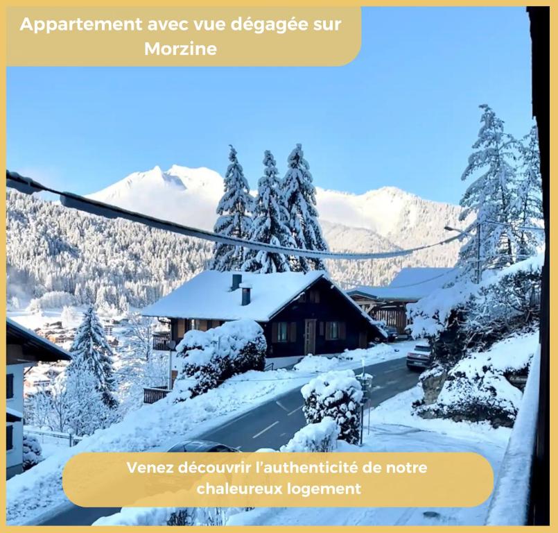 Le Flocon d'Argent I Studio I Morzine - 1