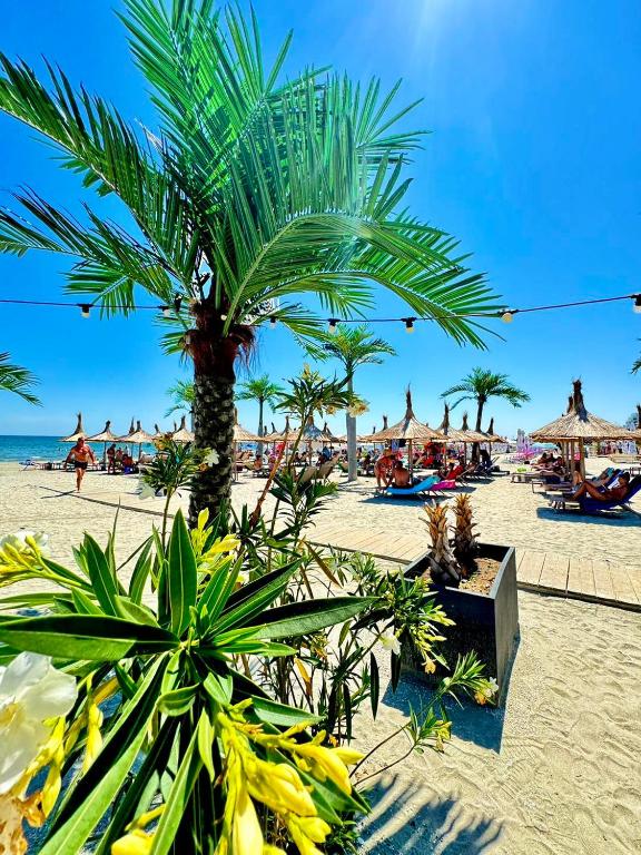 CNC Zev Apartament, Mamaia Nord – Năvodari