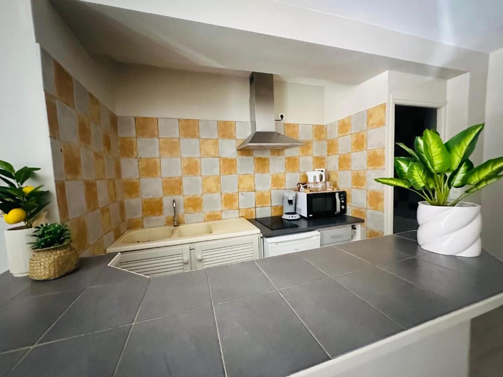 Studio de 30 m2 centre-ville NARBONNE - 4