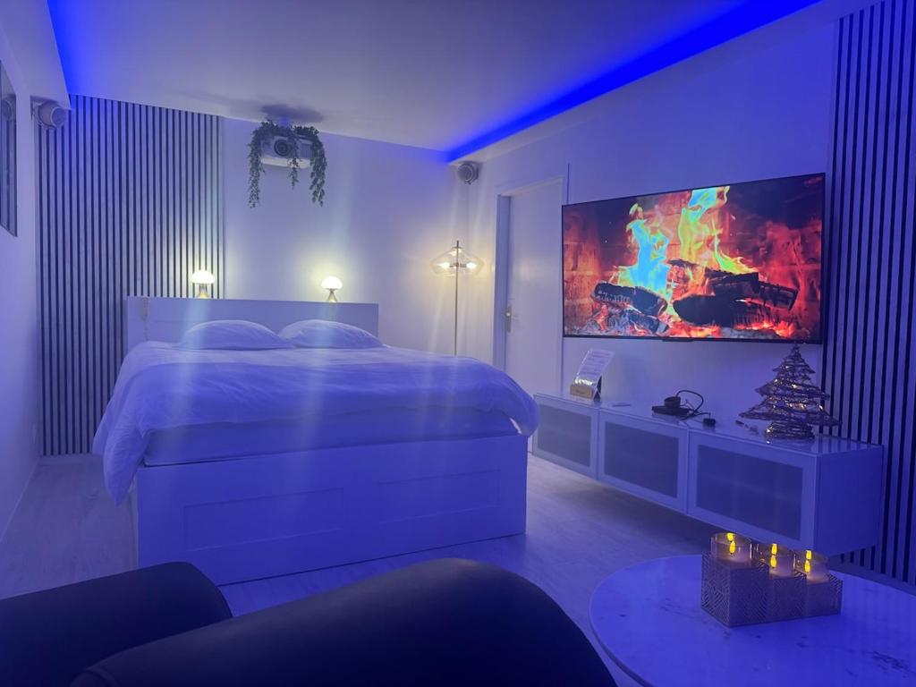 Loveroom de luxe avec jacuzzi sauna vapeur écran 300 cm - 5
