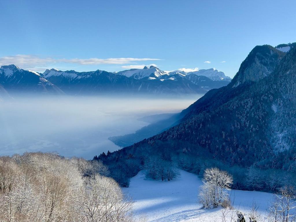 Magnifique Chalet Avec Vue Panoramique sur le Lac Léman, Thollon