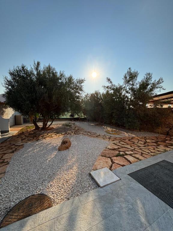 Casa Vacanza Adragna - 1