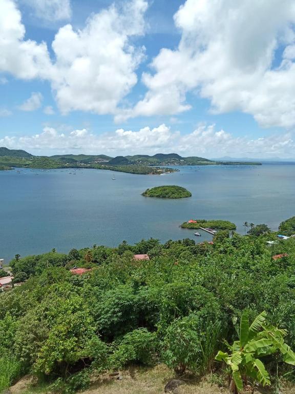 Studio du PARADIS, Le Marin