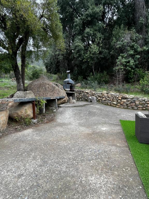 Cabañas Velo de la Novia - Parque Nacional Radal 7 tazas - 5