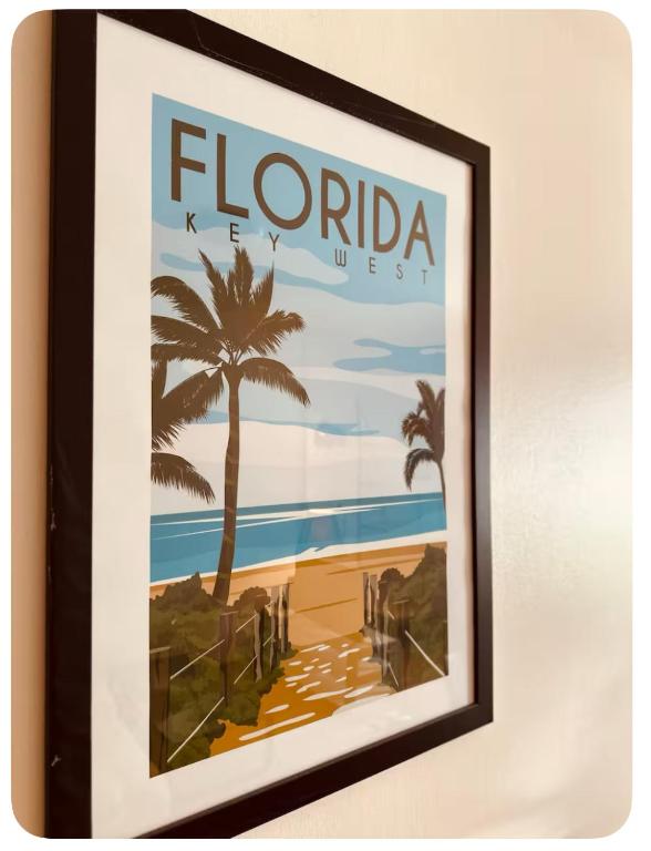 T2 Tout confort TV 55' avec canal séries netflix Disney Dazen Bein sport apple TV OCS paramount prime vidéo - 3