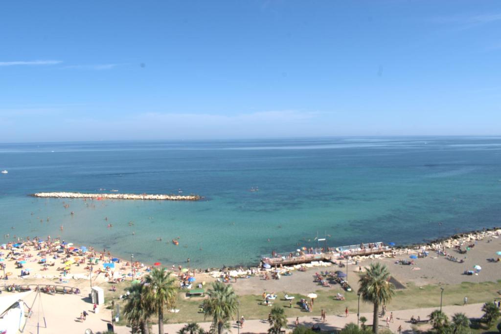 Suite DELFINO 39 - 1