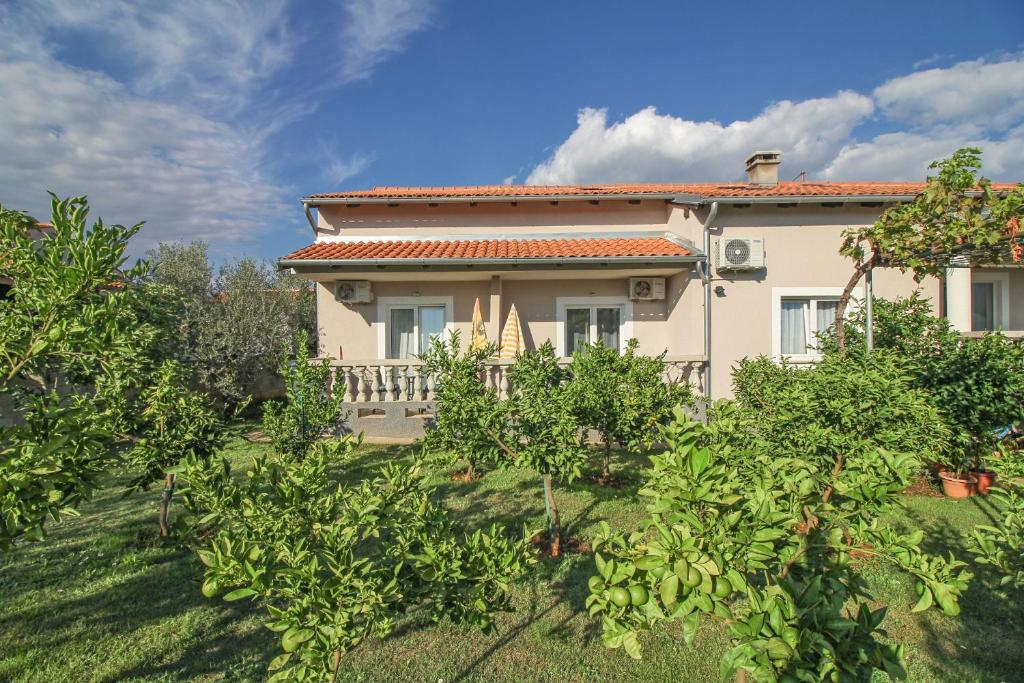 Toni in Pula - Istrien, Pula