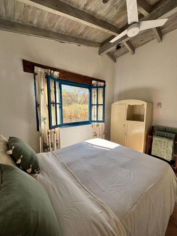 House in Cafayate - 4
