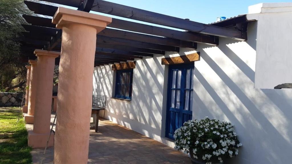 House in Cafayate - 5