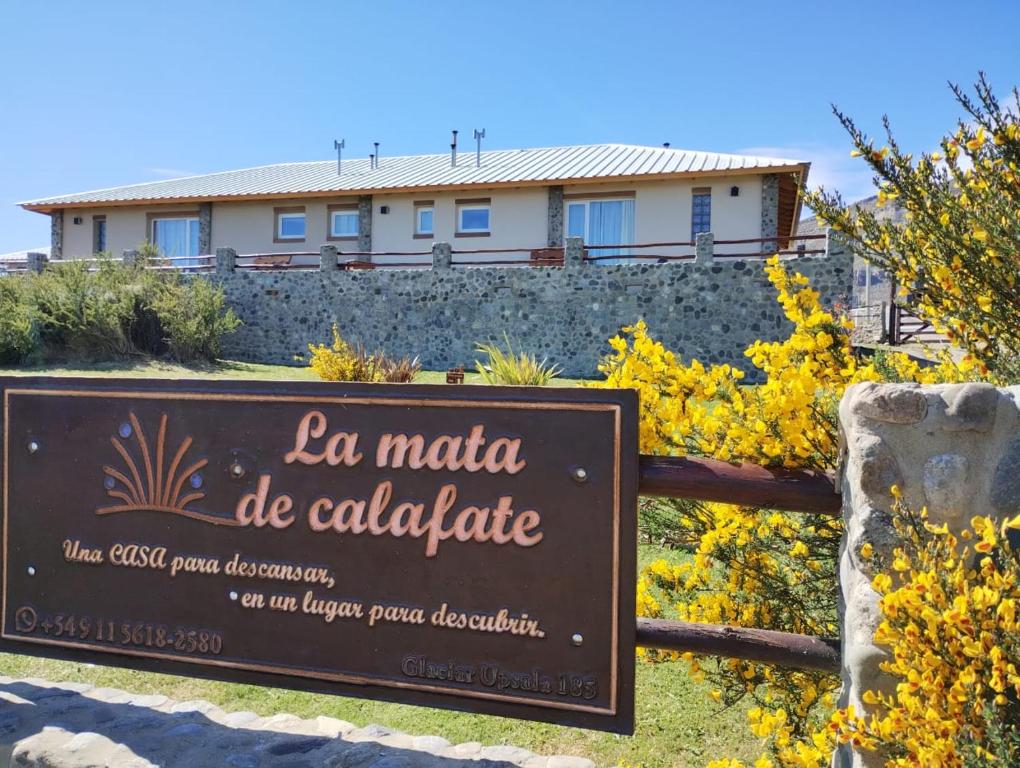 La mata de calafate - 1