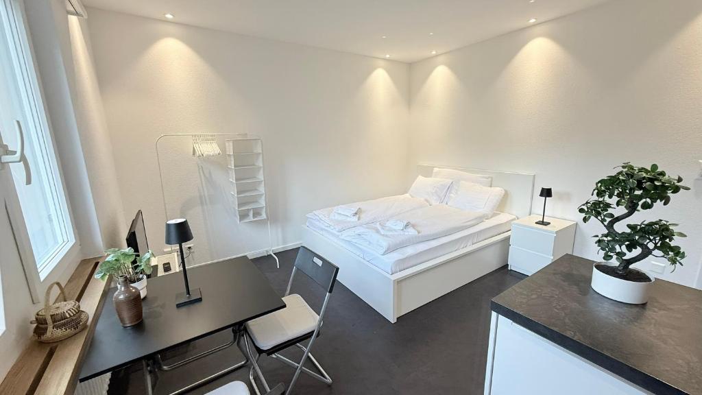 Lea Apartement - Ruhiges Studio, Schaffhausen