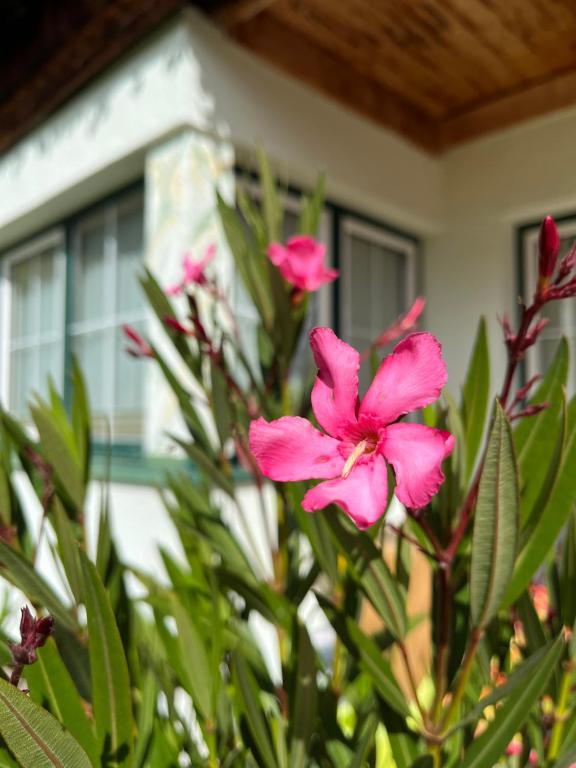 Appartement Bichl - 4