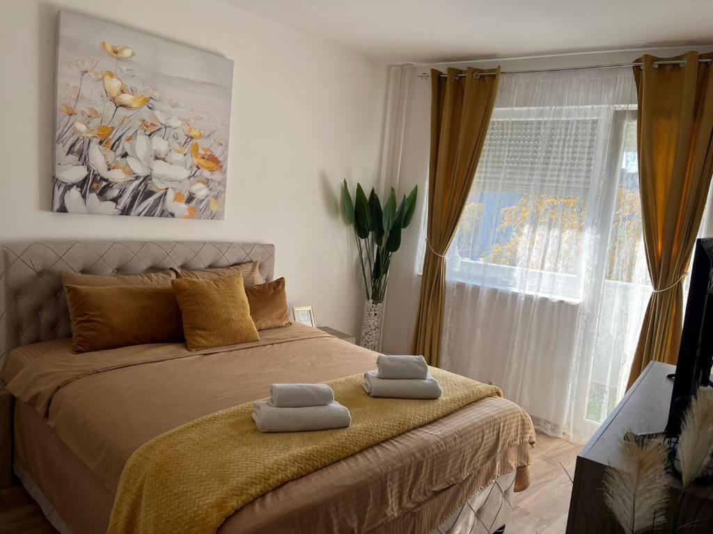 Oaza Apartman stan na dan, Заечар