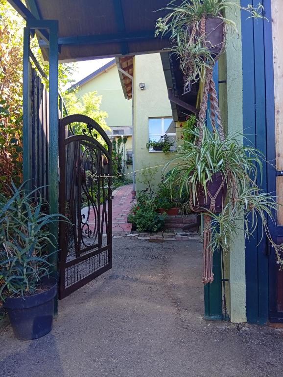 Apartman Kaća, Vrnjačka Banja