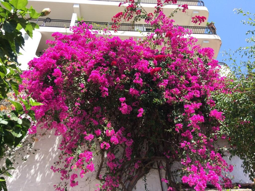Casa Mateo - 3
