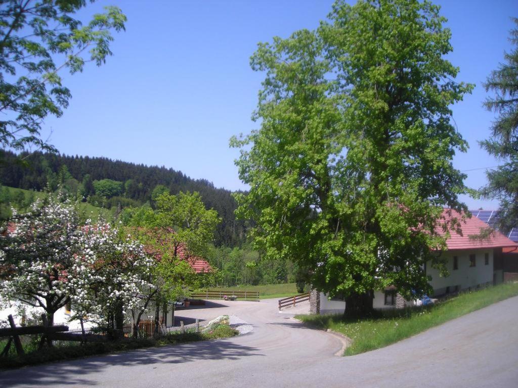Ferienwohnung Lindenhof mit aktivCard - 5