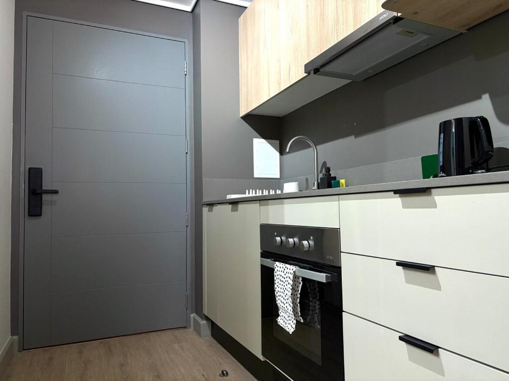 Comfortable and central apartment, Santiago