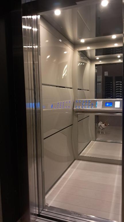 Luxury Palata Penthouse Apartments - 5