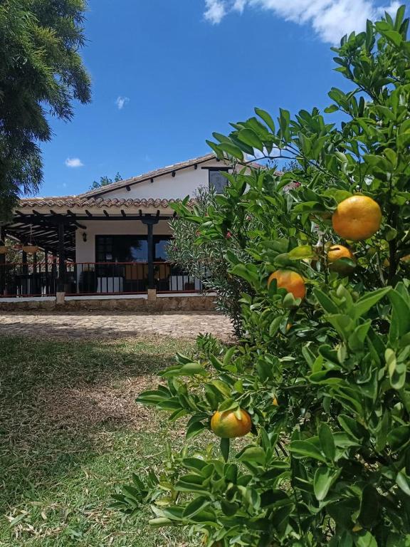 Hotel Estancia Villa Blanca - 1