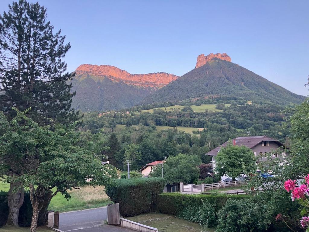 Appartement entre lac et montagnes - 5