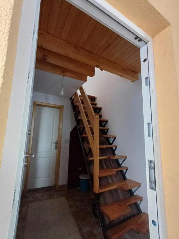 Lepote zlatibora - 1