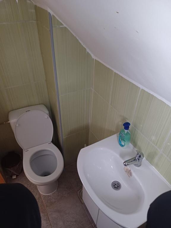 Lepote zlatibora - 4