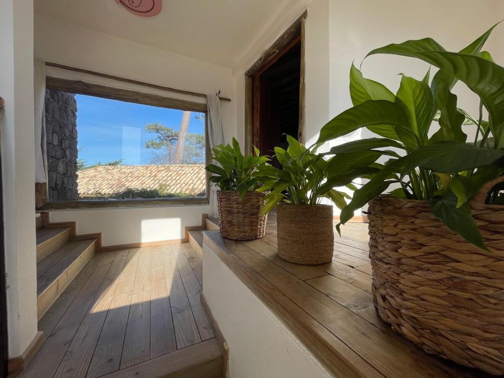 Casa Krisna, Punta del Este - 2