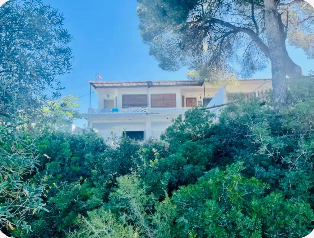 Casita en la playa 6 - 2