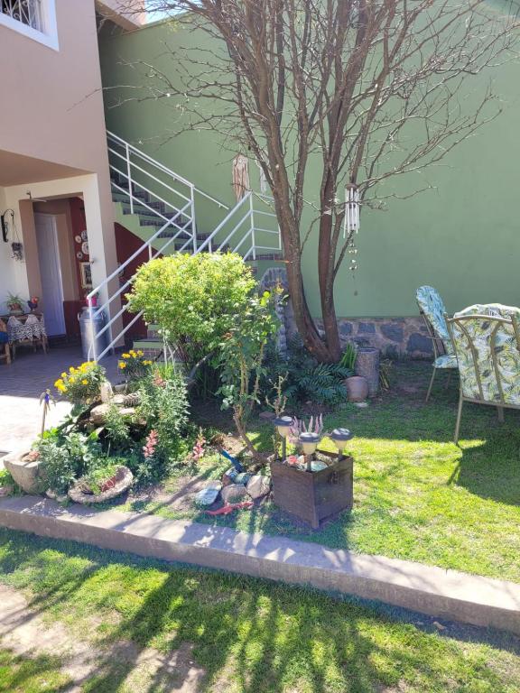 Departamentos serranos - Menta y Peperina - 4