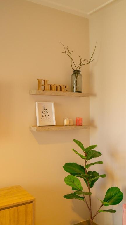 Alta Vista Apartment T8 - 5