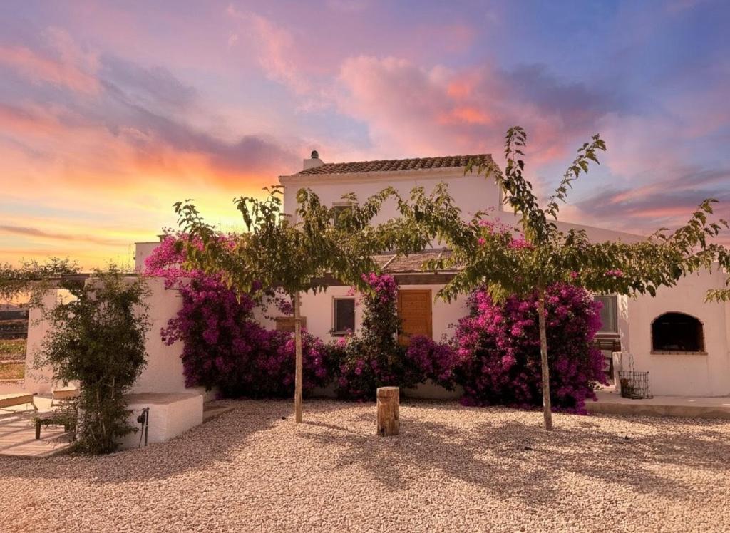 Mas Midó, Sant Jaume d'Enveja